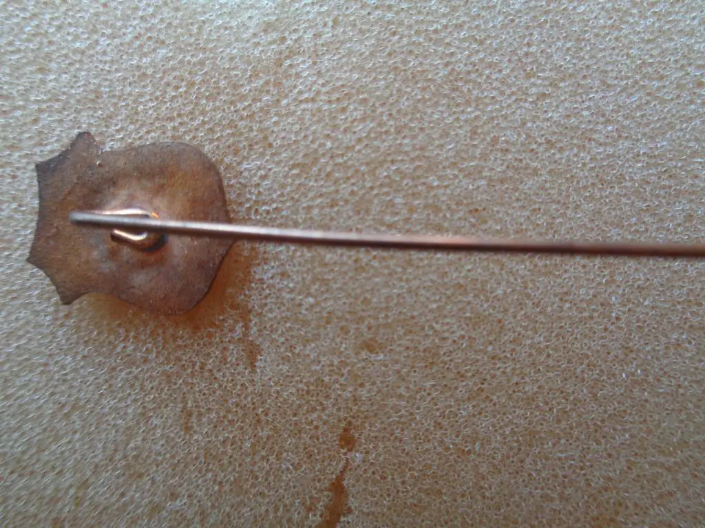 Фигейренсе ФК Флорианополис Бразилия 1