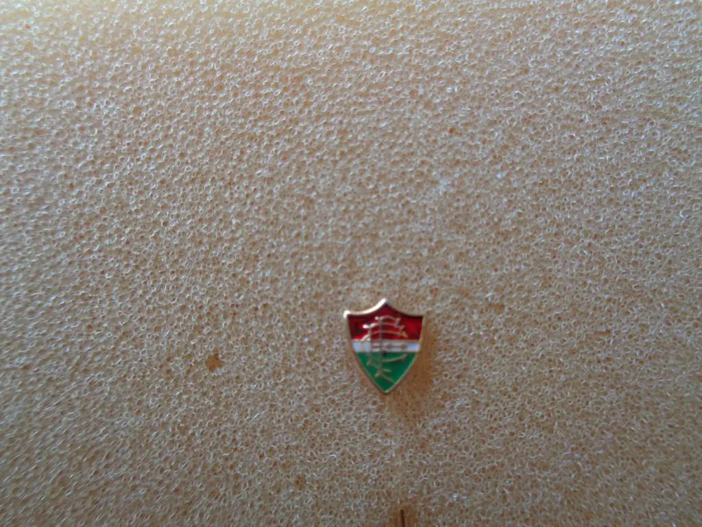 Флуминенсе ФК Рио-де-Жанейро Бразилия