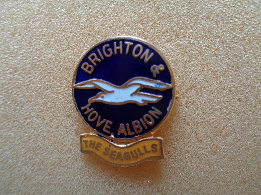 Брайтон энд Хоув Альбион Восточный Суссекс Англия Coffer