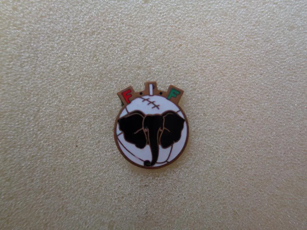 федерация футбола Кот Д Ивуар (Берег слоновой кости)