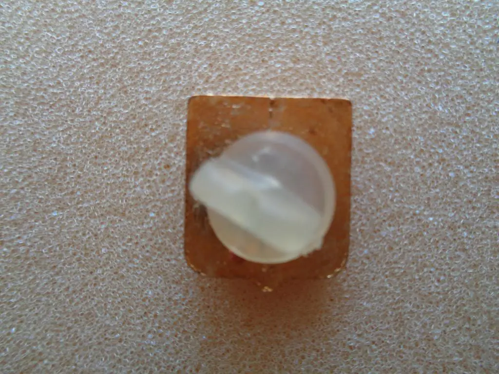 Udinese Calcio Italia 1