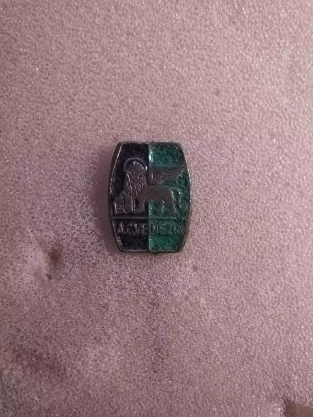 Venezia Football Club Italia