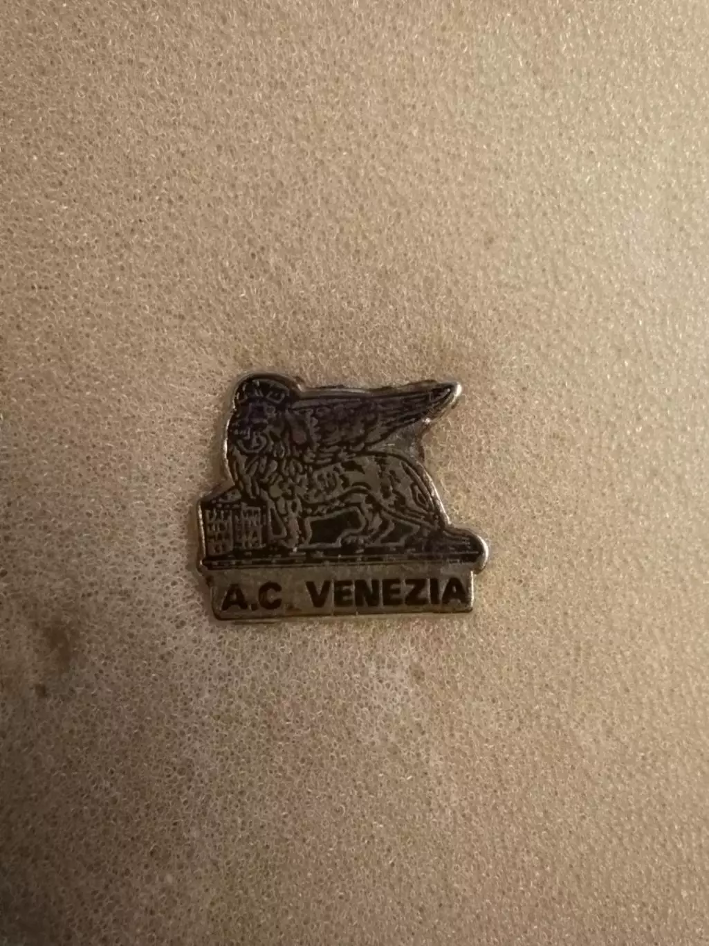 Venezia Football Club Italia