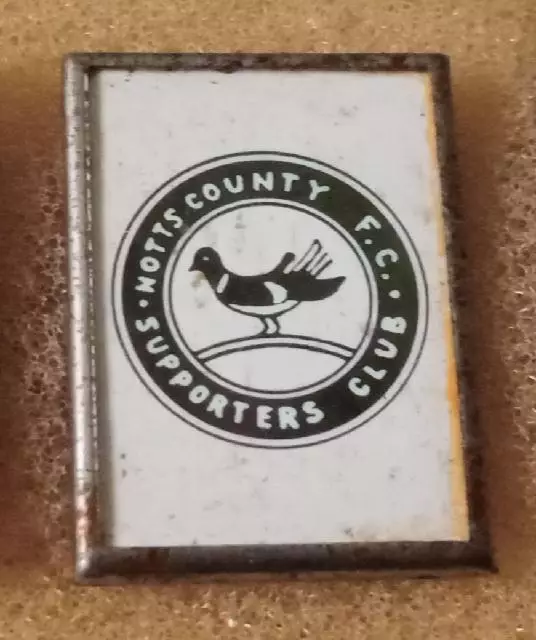 Нотс Каунти ситал