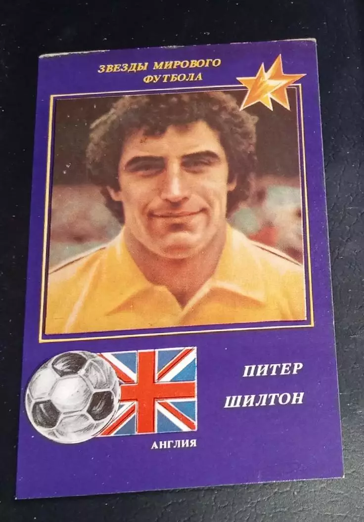 Шилтон 1991 г.