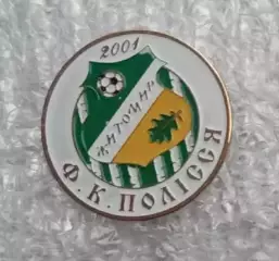 Полесье Житомир (3)