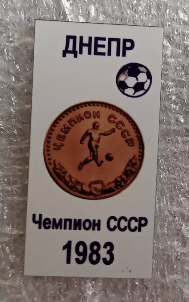 Днепр чемпион 1983 г.(7)