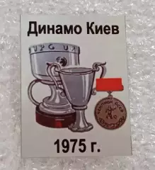 Динамо Киев Кубок Кубков,Суперкубок,чемпион 1975 г.