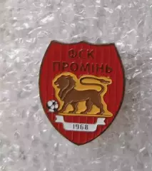 ФК Проминь Левкив Житомирская область