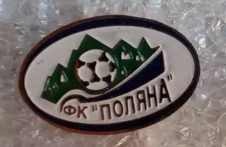 ФК Поляна Закарпатская область