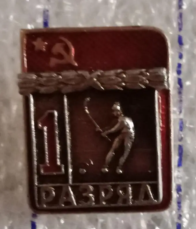 1 разряд хоккей с мячом ВХО