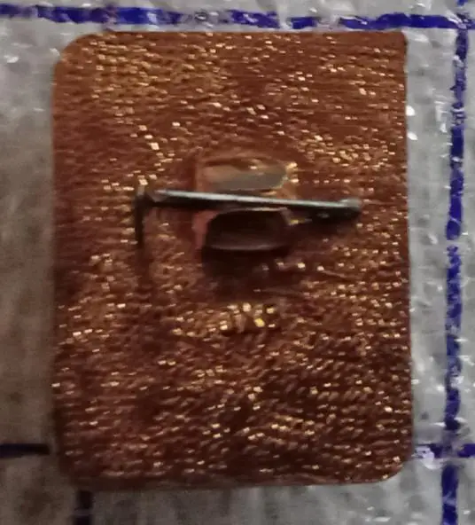 1 разряд шахматы ВХО 1