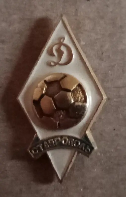 Динамо Ставрополь