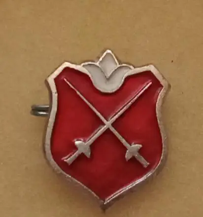 Фехтование (3)