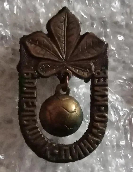 Динамо Киев болельщик