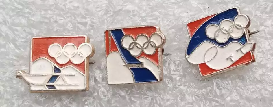 санный спорт,хоккей,фигурное катание цена за один