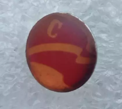 ДСО Спартак