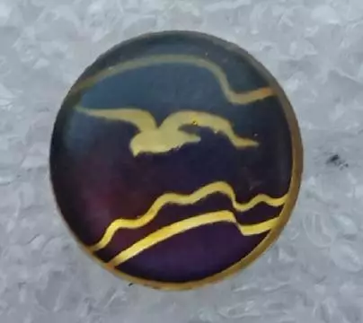 ДСО Буревестник