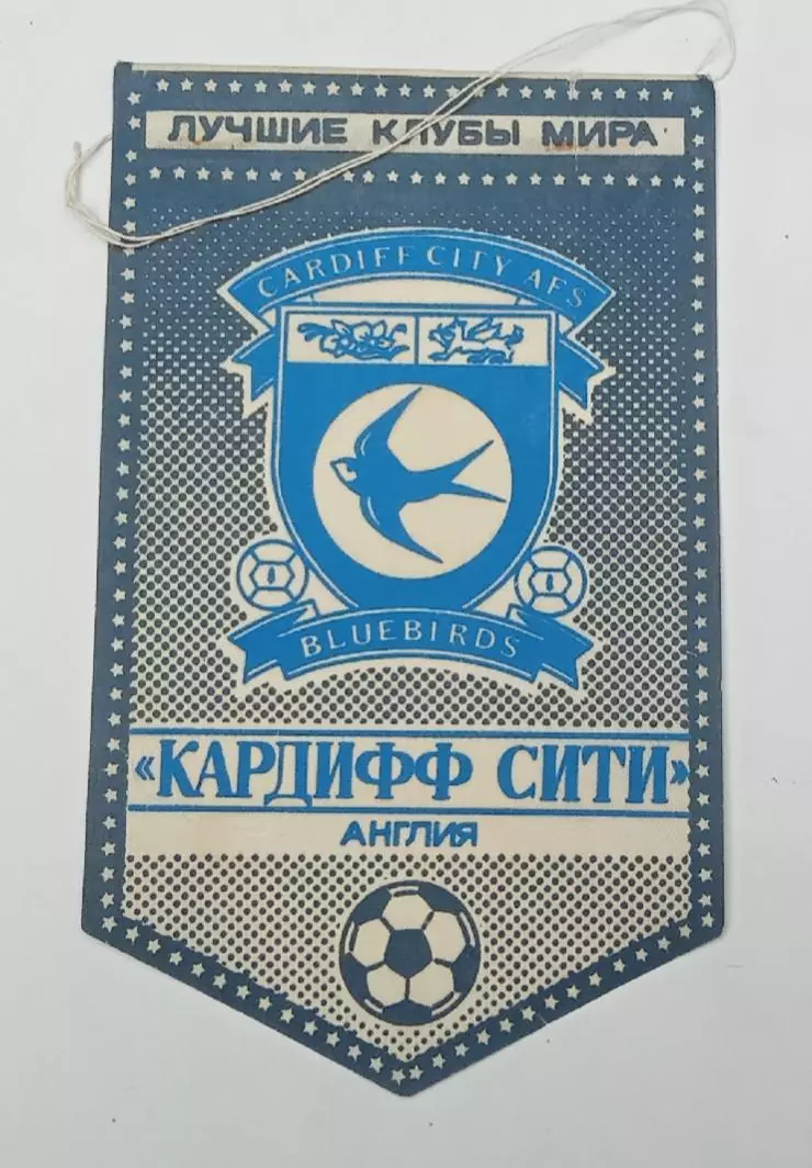 серия лучшие клубы мира Кардифф Сити Англия