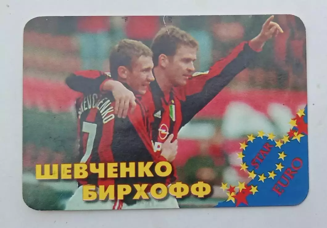 Шевченко,Бирхофф 2001 г.