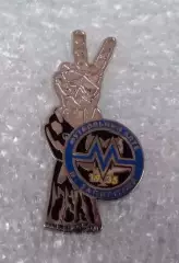 Металлург Запорожье (5)