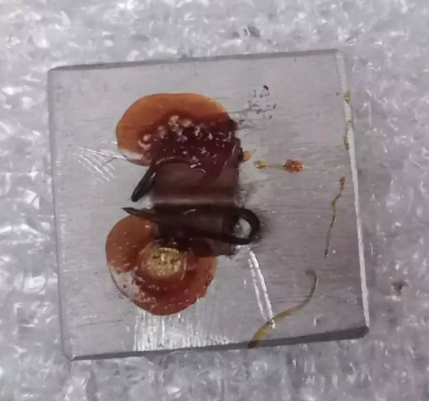 Спартак,Днепр,Динамо Киев призеры 1989 г.(1) 1