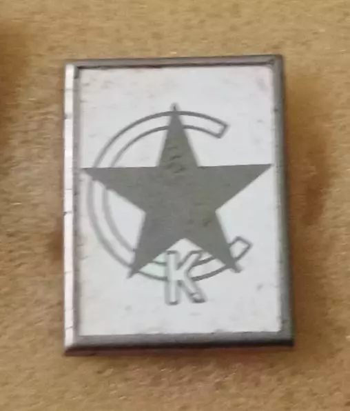 СКА Ростов ситал