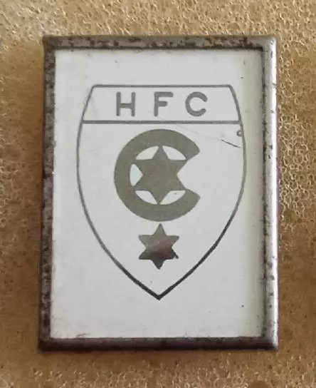 Галле ситал