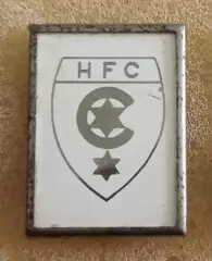 Галле ситал