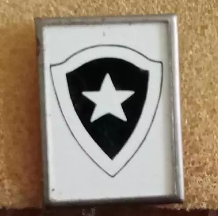 Ботафого ситал