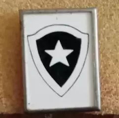 Ботафого ситал