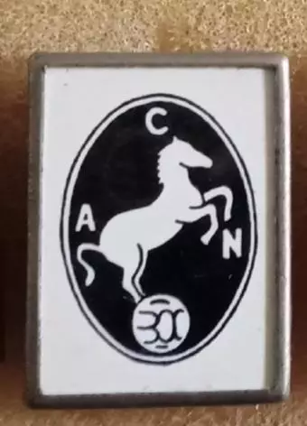 Наполи ситал