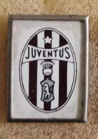 Ювентус ситал