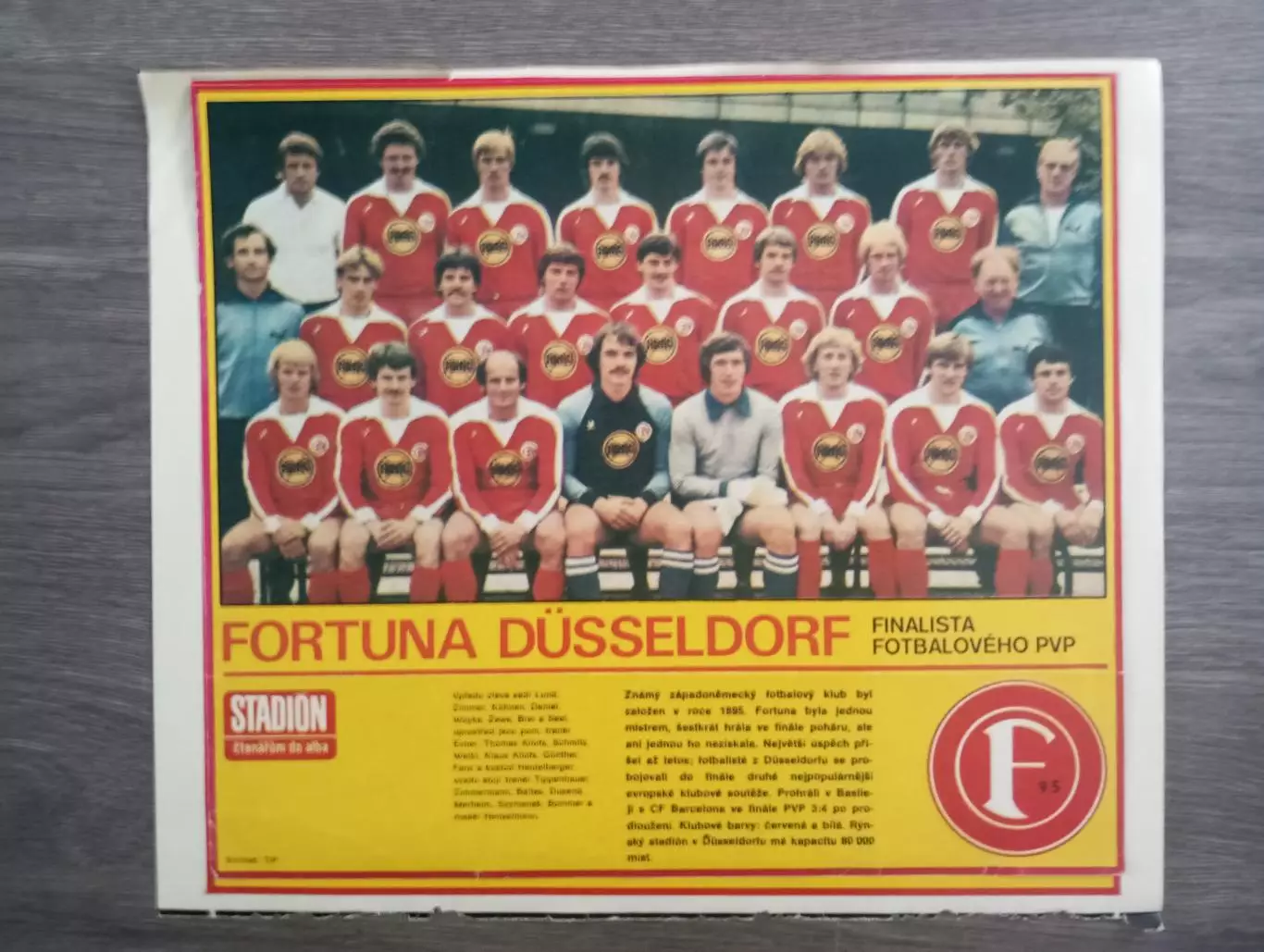 постер Фортуна