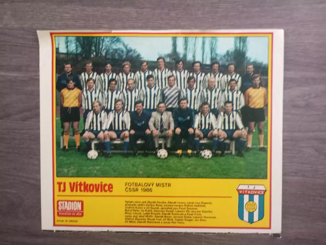 постер Витковец