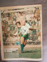 Финалист кубка европейских чемпионов 1971 Панатинаикос