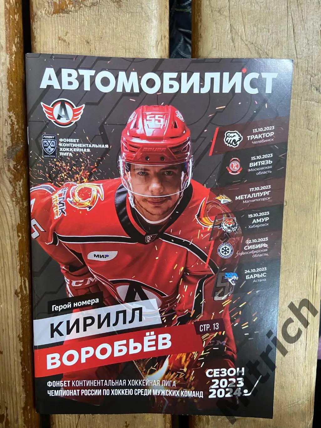 Автомобилист-Амур Хабаровск,Сибирь,Барыс,Магнитогорск,Витязь,Трактор 2023 / 2024