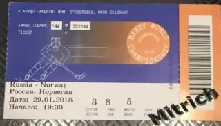 БИЛЕТ Россия - Норвегия 29.01.2018. Чемпионат мира, Хабаровск