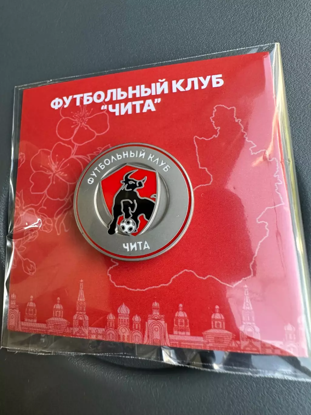 Официальный знак ФК Чита