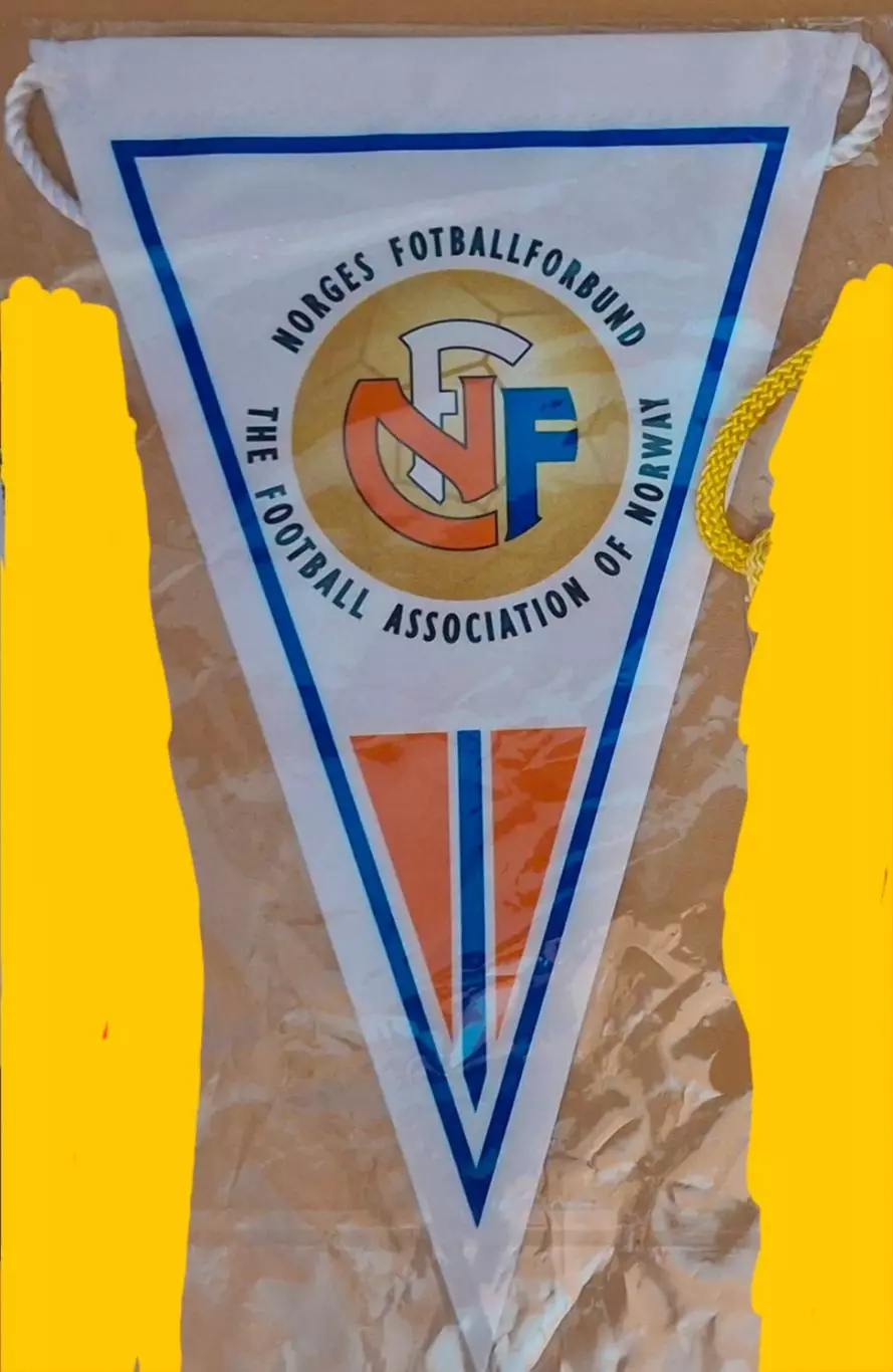 Норвегия - Федерация футбола