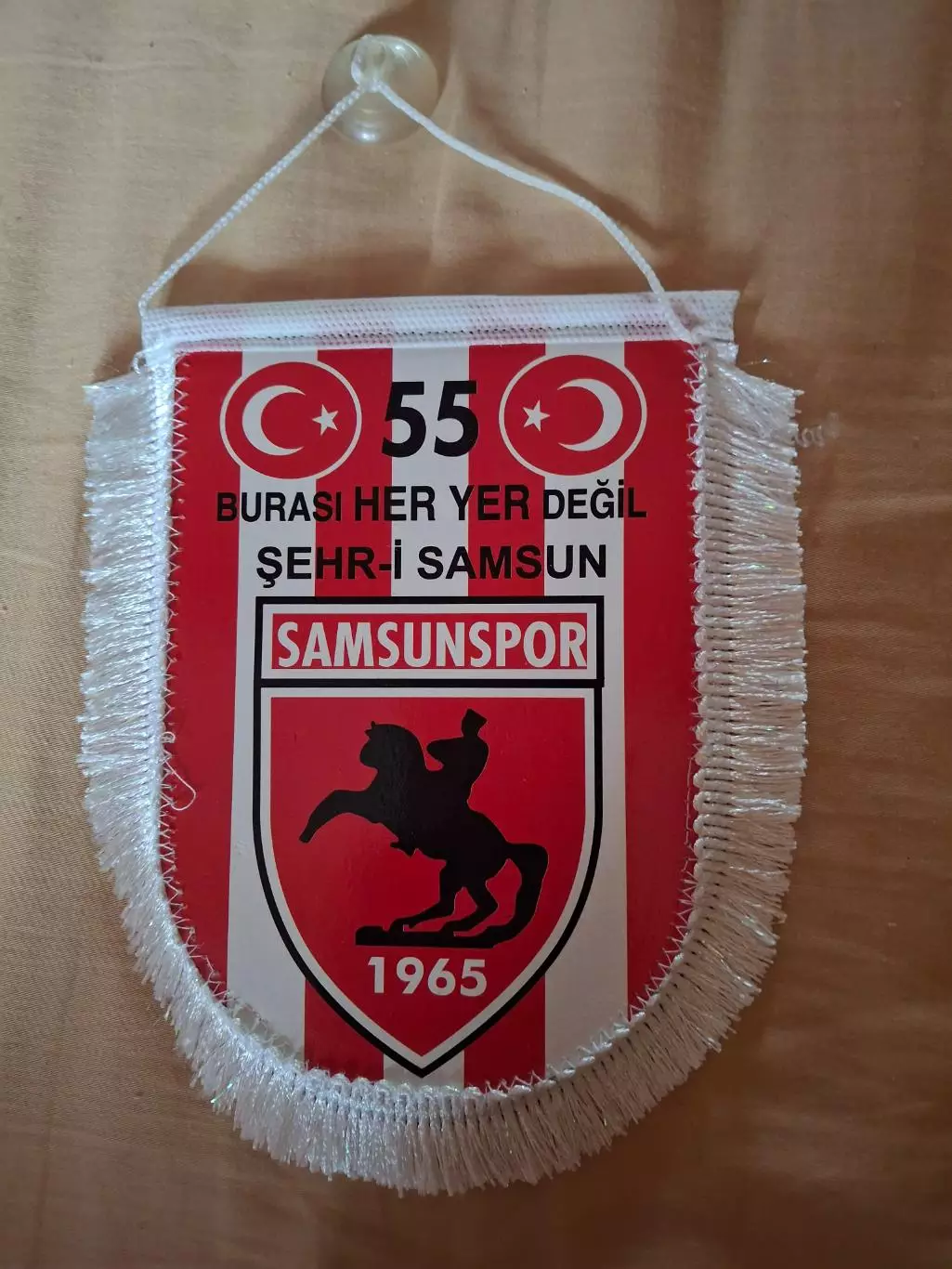 Самсунспор (Турция)