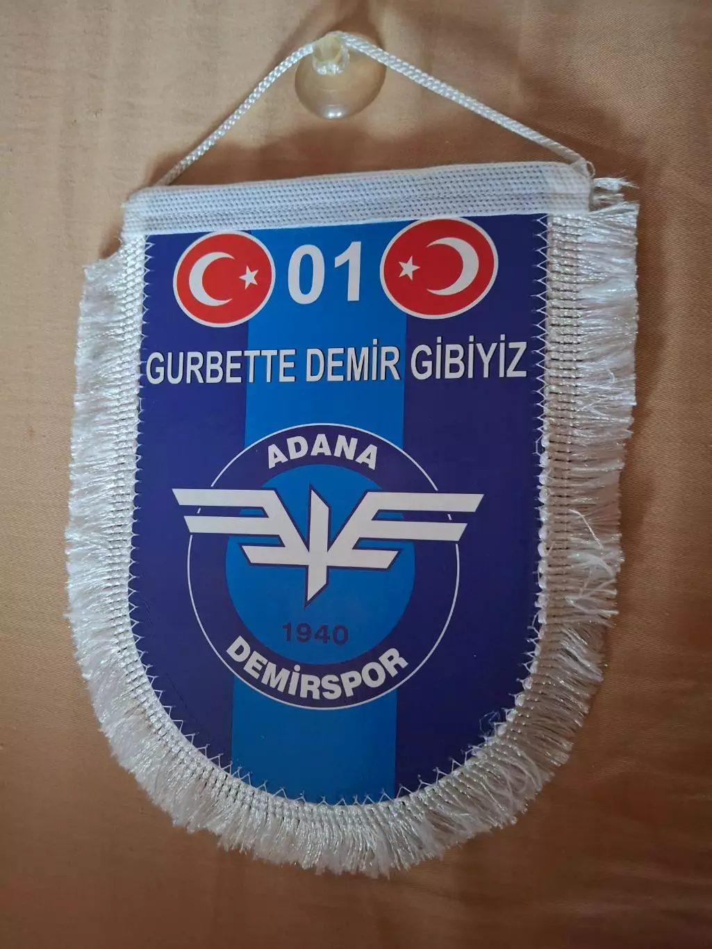 Адана Демирспор (Турция)