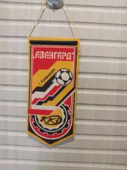 Футбол Авангард Камышин Волгоградская. Обо..