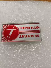 Футбол. Торпедо/Арзамас....