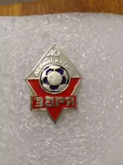 Футбол ЗаряАО. Ленинскуголь.