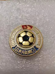 Футбол Динамо Брянск.... СССР....