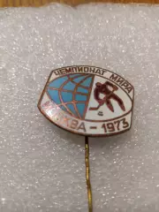 Хоккей чемпионат мира Москва 1973год.