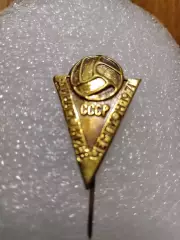 Футбол Динамо/Киев чемпион СССР 1971год.