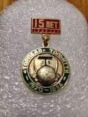 Футбол Торпедо Тольятти........