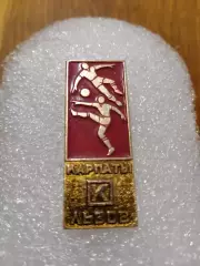 Футбол Карпаты Львов..........